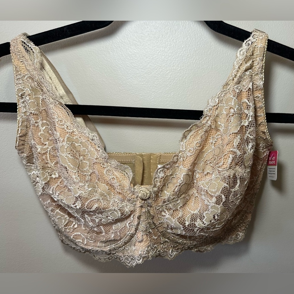 36F Bra (36DDD) - Essential Bodywear